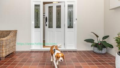 Haibo Door Factory: Durable and Stylish Doors with Advanced Man