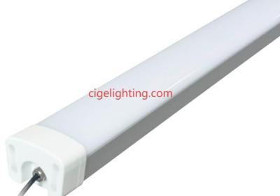 Cige Shapes Future of Waterproof Fixture Manufacturer